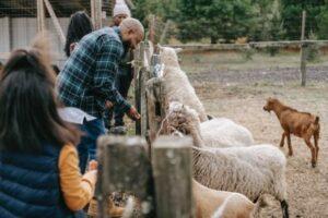 Family Agricultural Trust